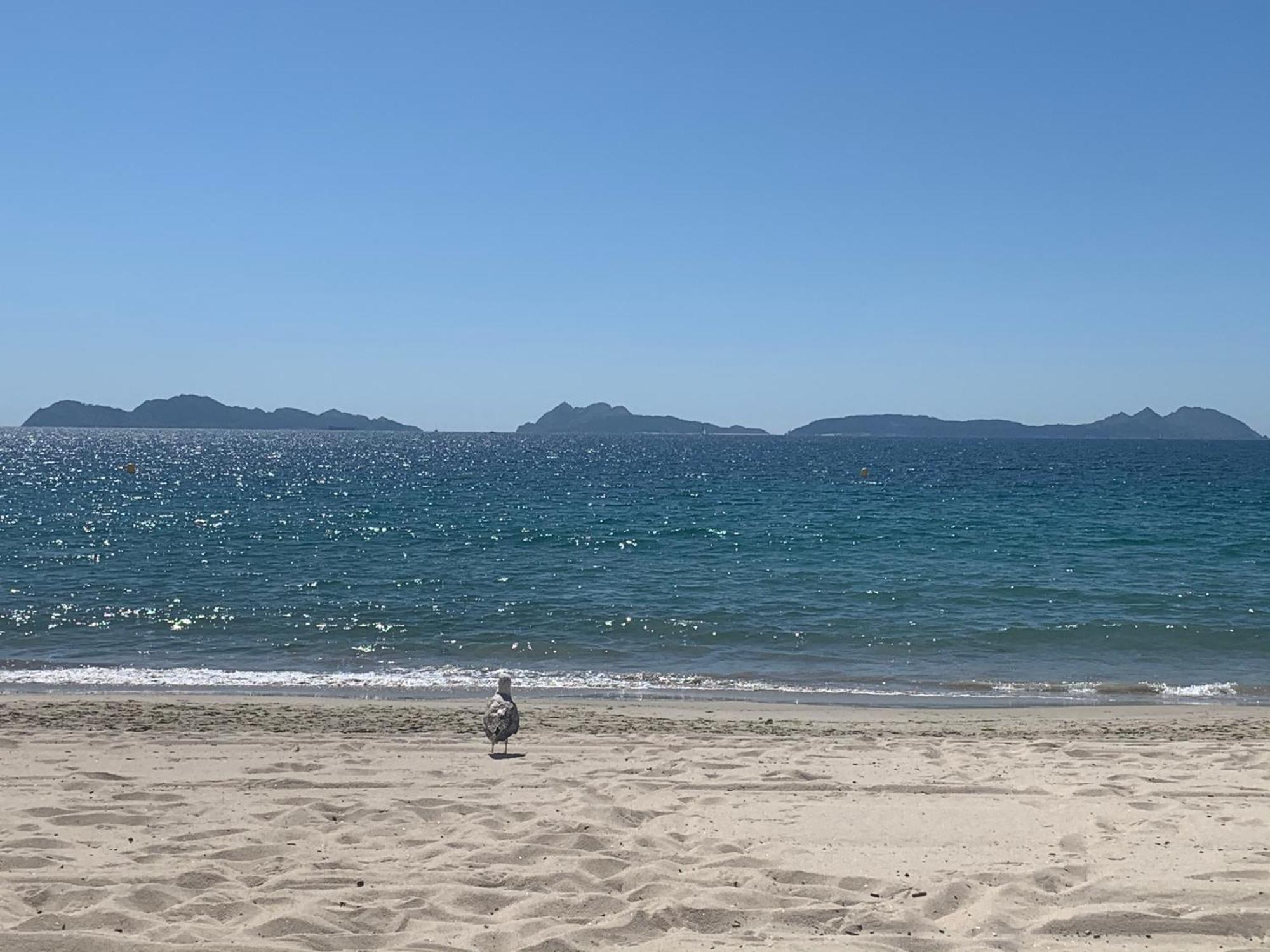 Urban Vigo Διαμέρισμα Εξωτερικό φωτογραφία